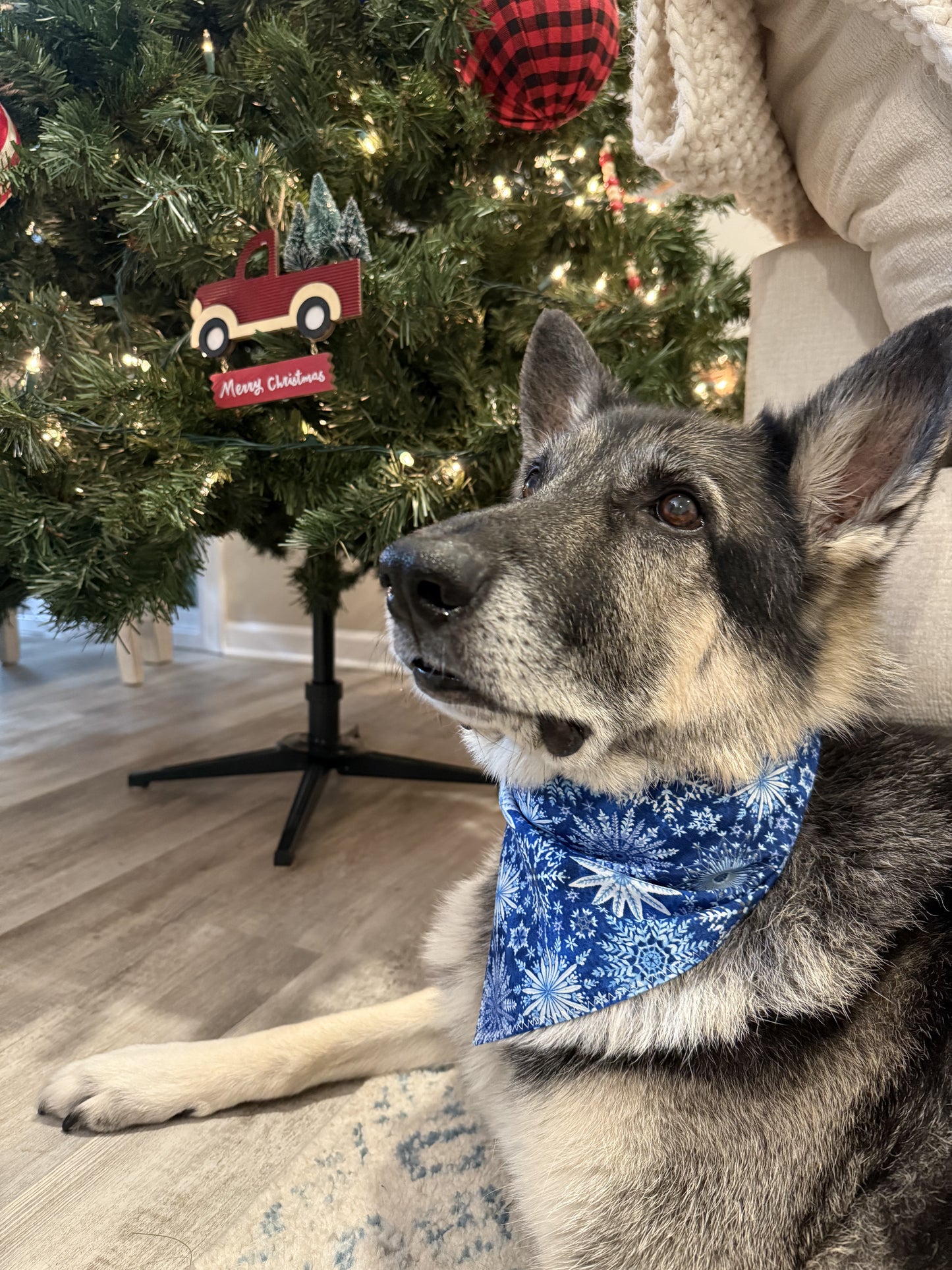PET BANDANA - SNOWFLAKE & BLUE DOTS FINAL SALE