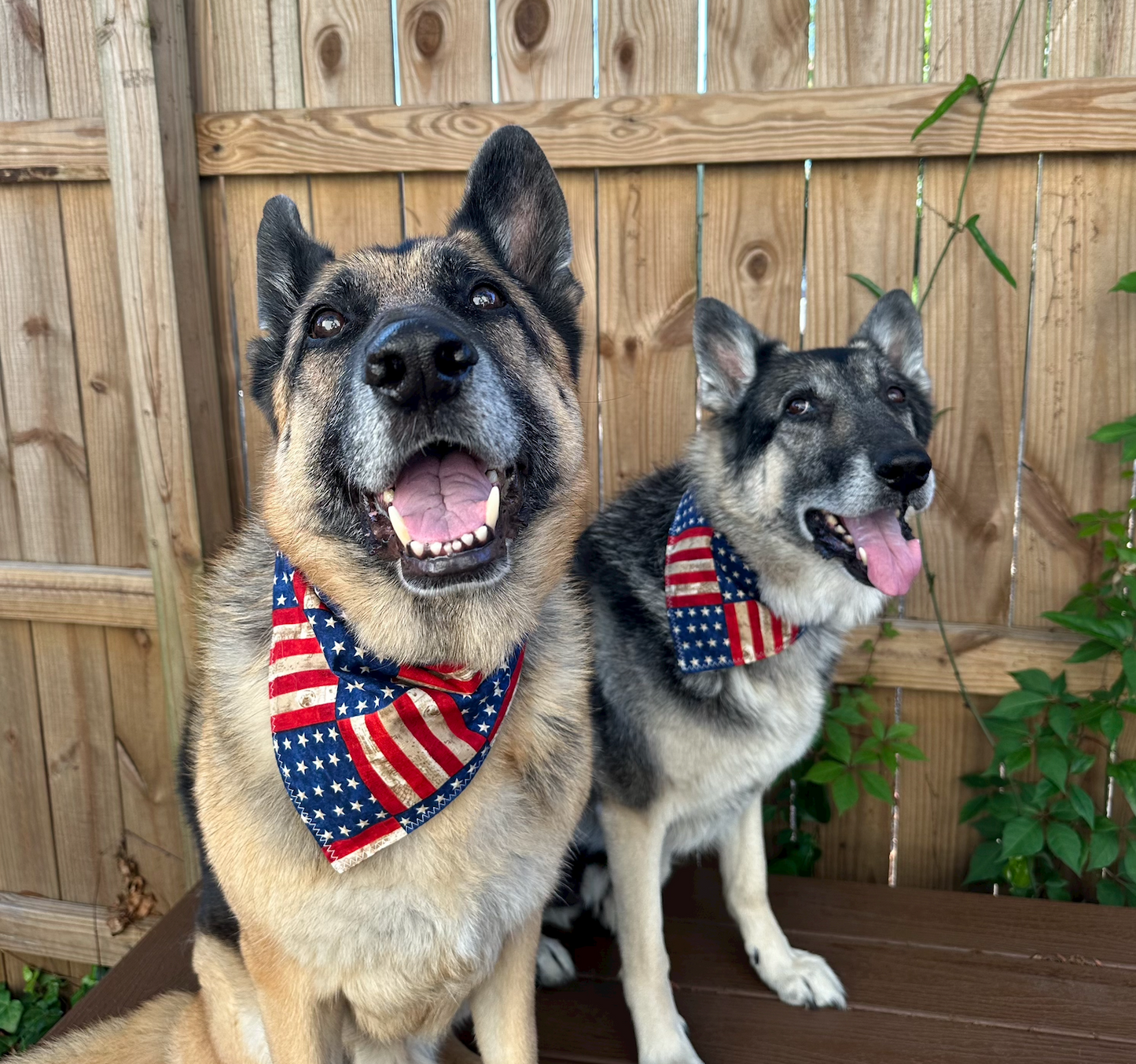 PET BANDANA - AMERICAN FLAG & FLOWERS FINAL SALE