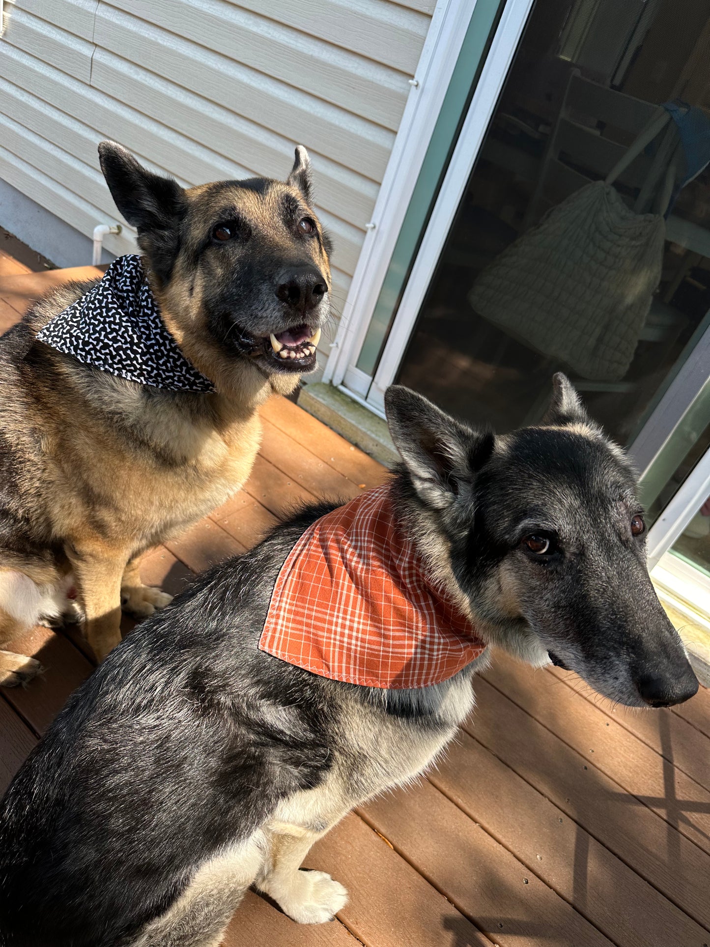 PET BANDANA - PUMPKINS & PLAID FINAL SALE