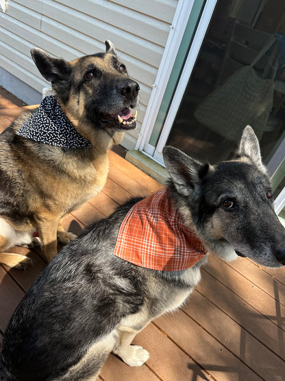 PET BANDANA - BONES AND PLAID FINAL SALE