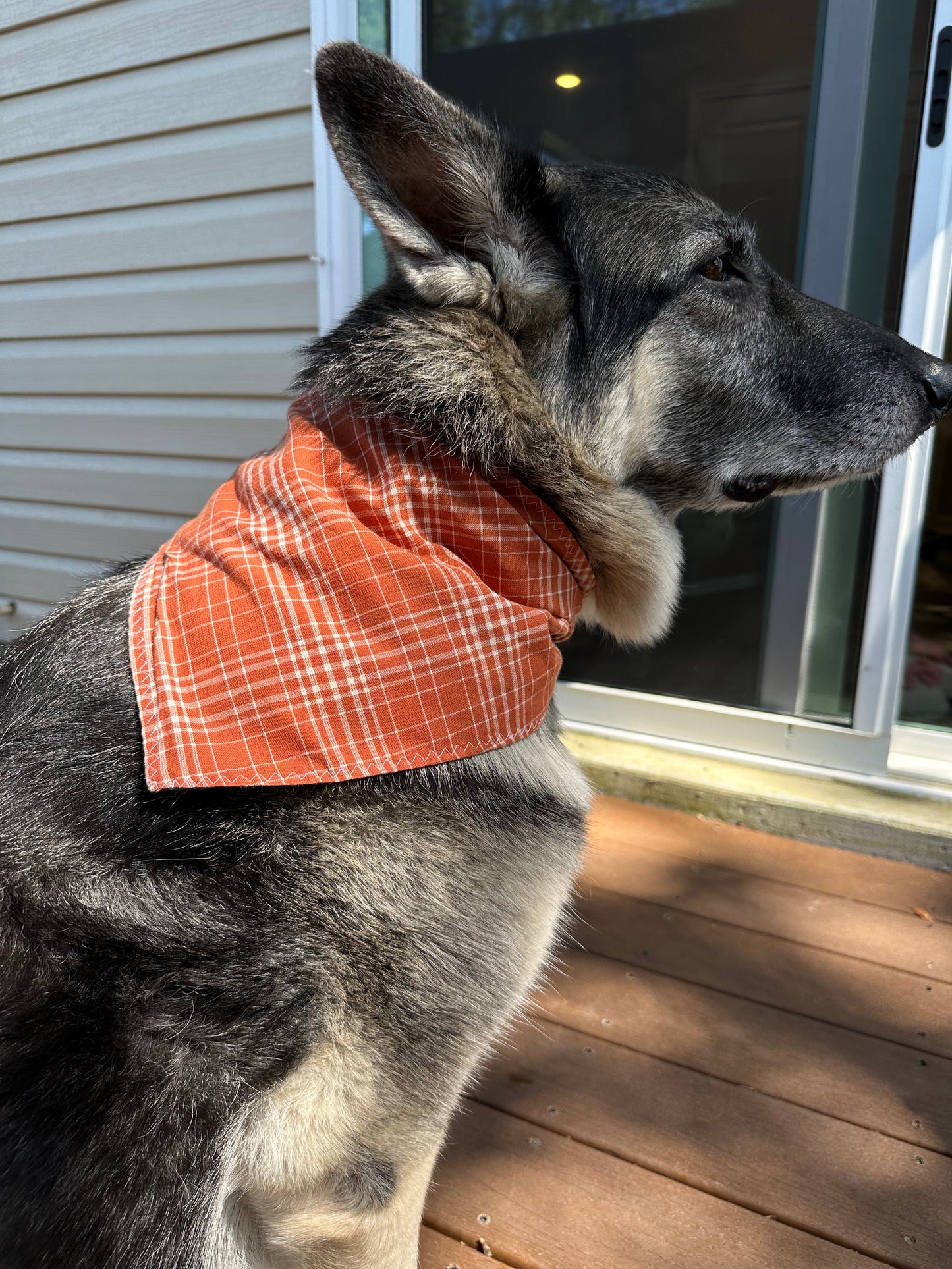 PET BANDANA - PUMPKINS & PLAID FINAL SALE