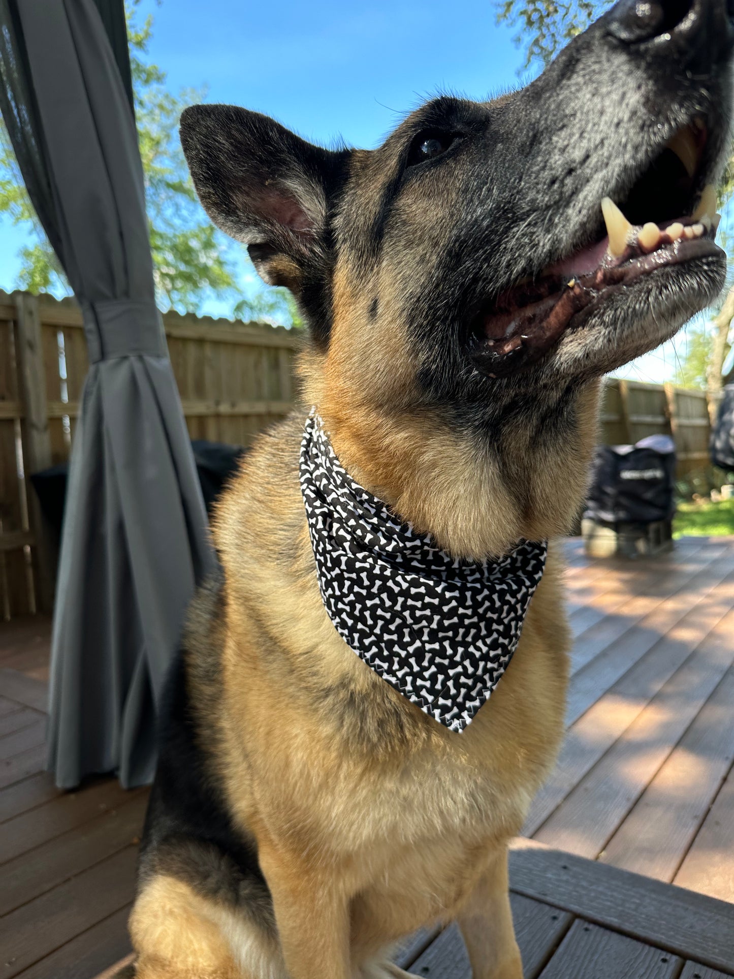 PET BANDANA - BONES AND PLAID FINAL SALE