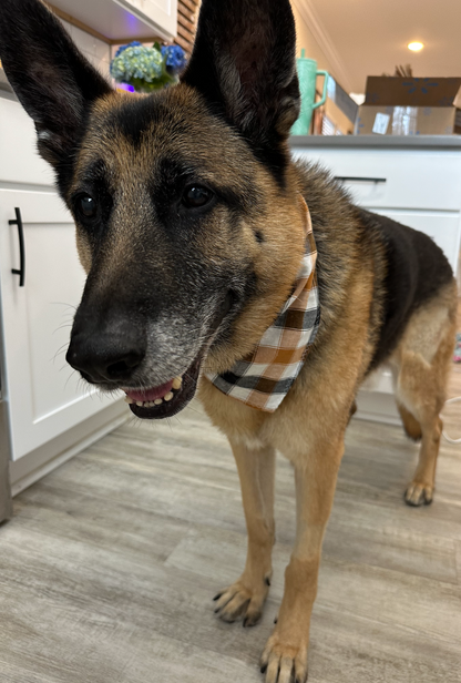 PET BANDANA - BONES AND PLAID FINAL SALE